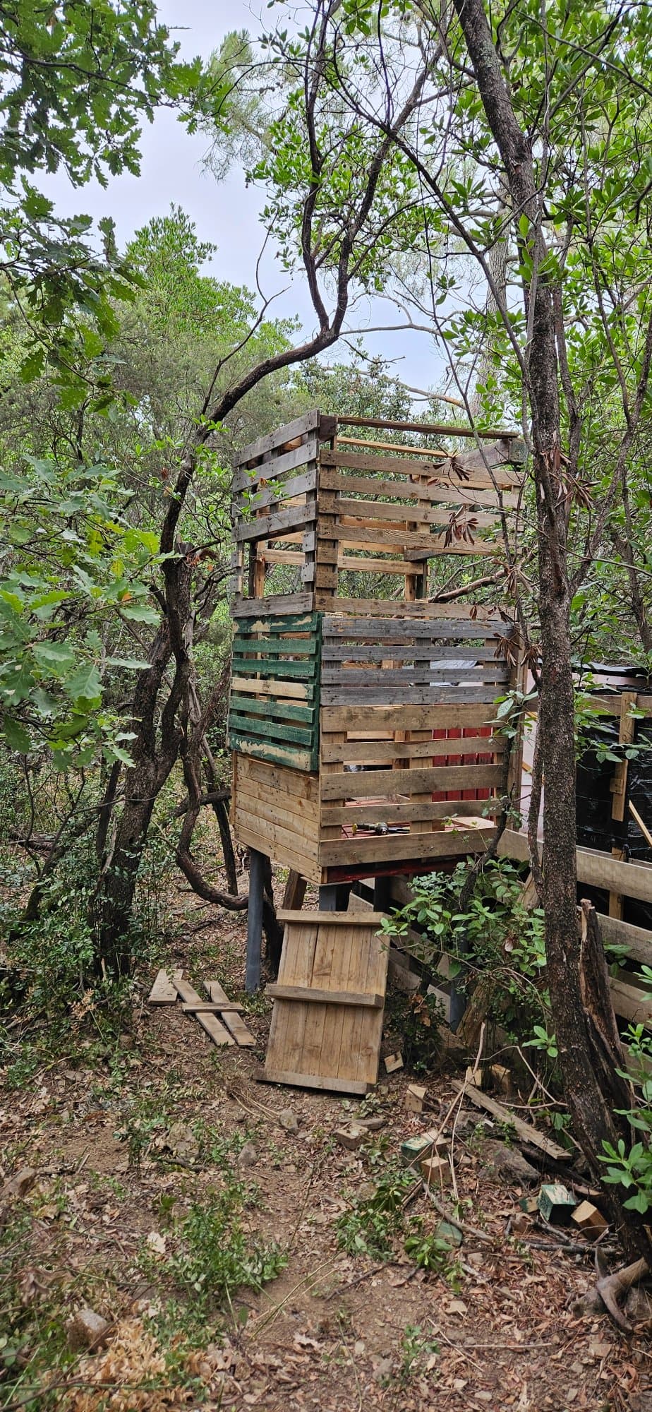 Travaux du terrain