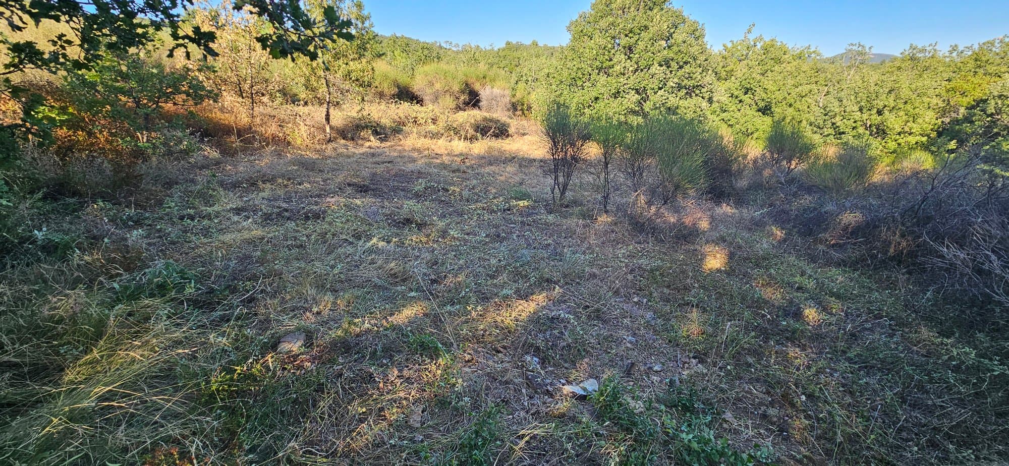 Travaux du terrain