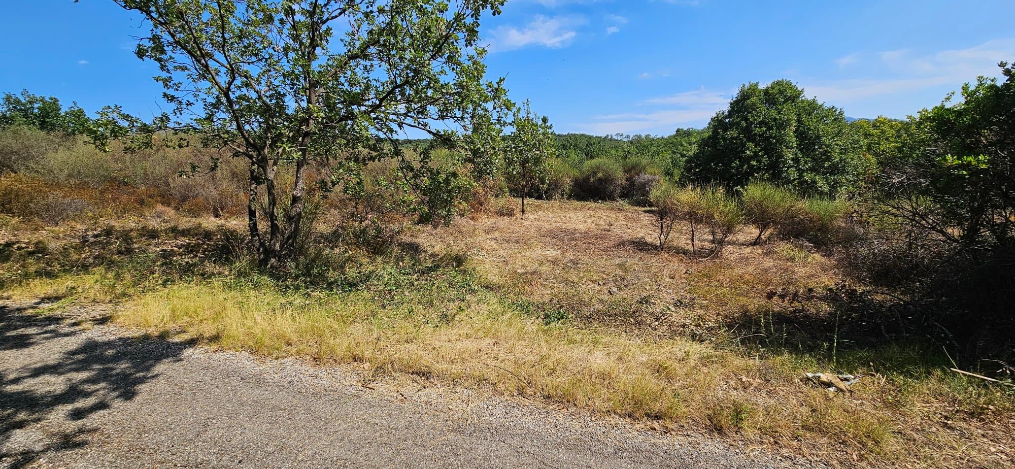 Travaux du terrain