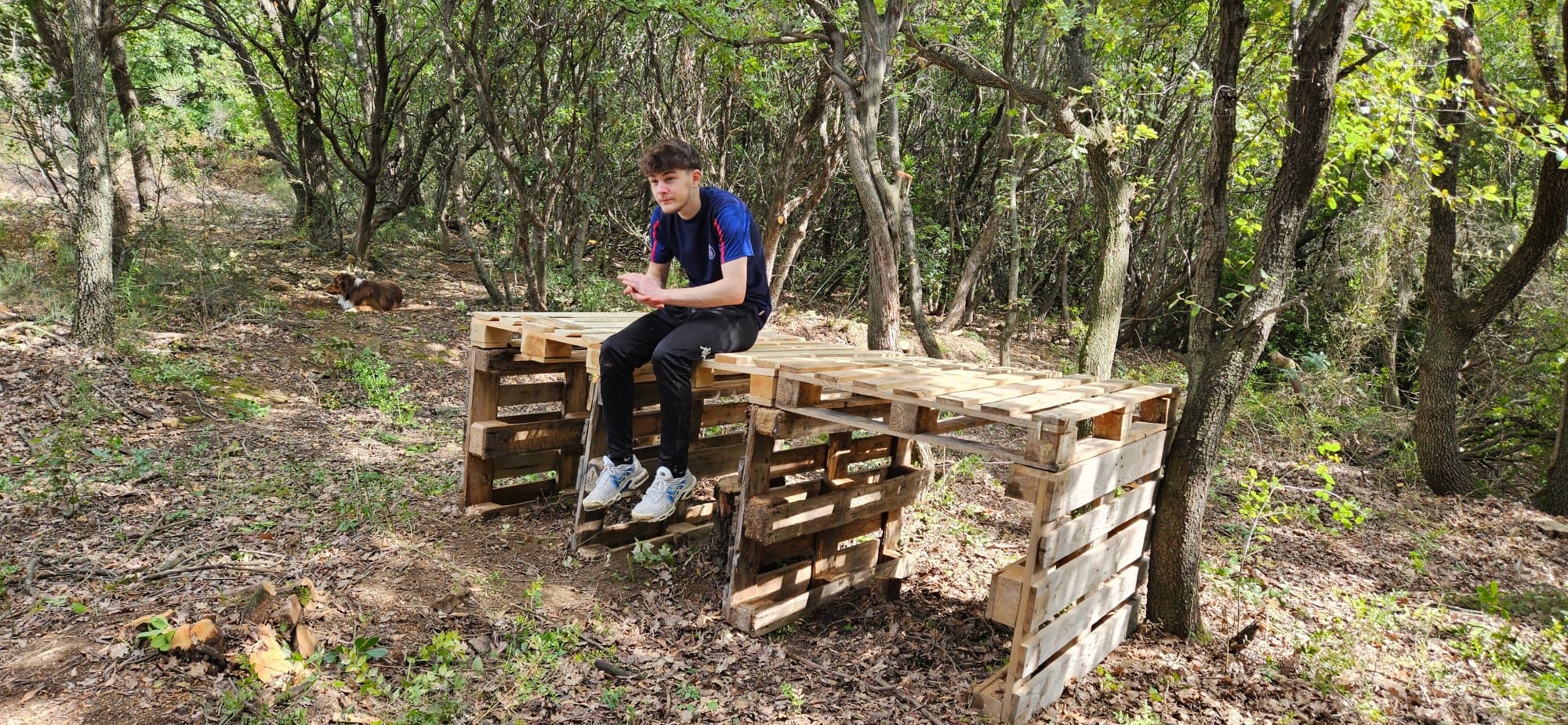 Travaux du terrain