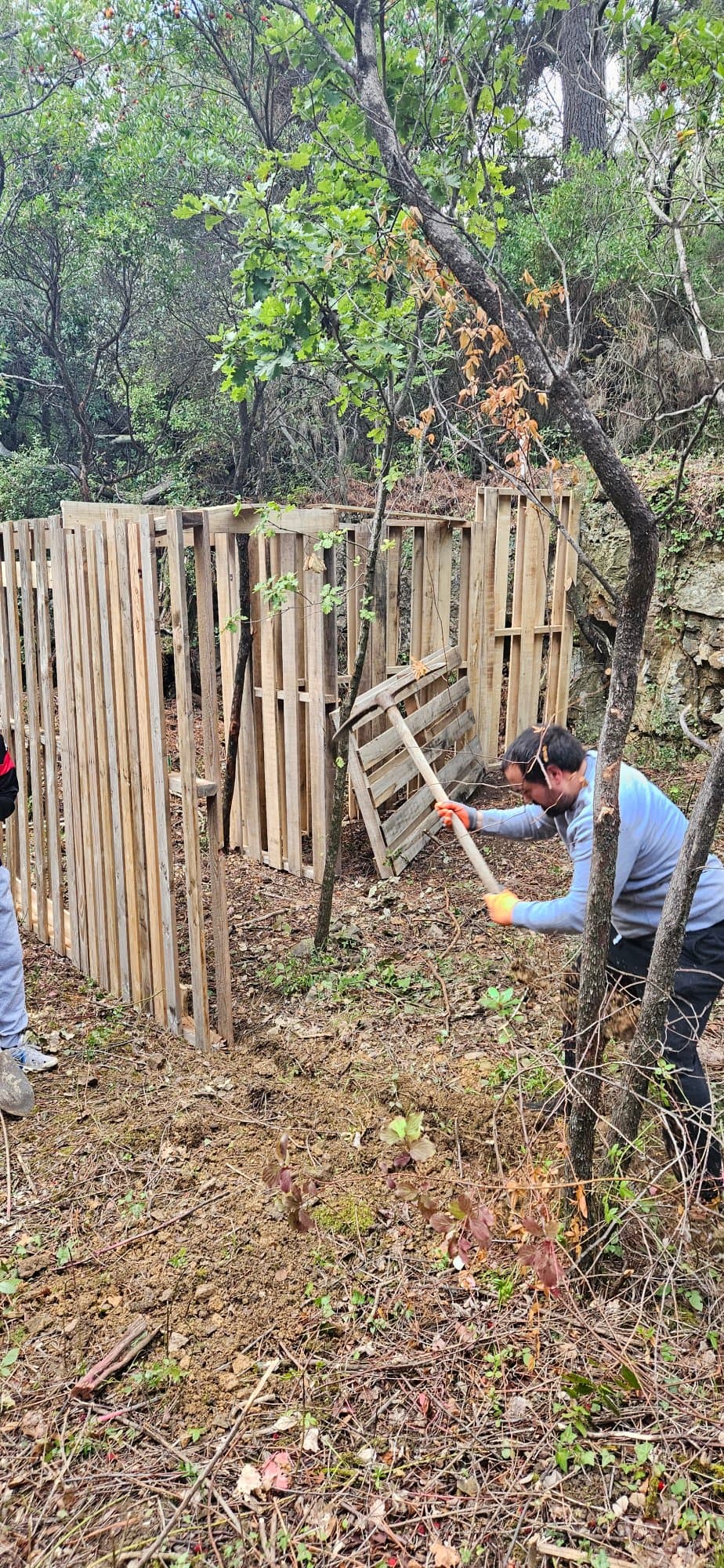 Travaux du terrain
